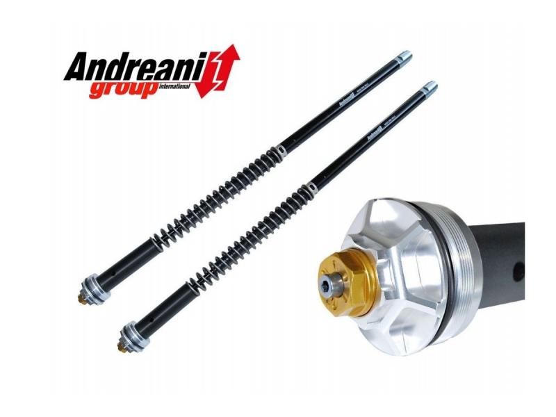 Ducabike Andreani Cartridge 105/T26E Triumph Speed Twin 1200