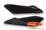 Ilmberger Carbon Seitendeckel MV Agusta Brutale 750, 2001-2012