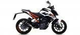 Arrow GP2 Slip-On KTM Duke 390, 2017-2020