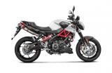 Akrapovic Slip-On Aprilia Shiver 900, 2017-2020