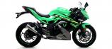 Arrow Pro-Race Slip-On Kawasaki Ninja 125, 2019-2020