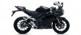 Arrow Pro-Race Slip-On Yamaha YZF-R 125, 2019-2020