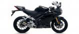 Arrow Thunder Slip-On Yamaha YZF-R 125, 2019-2020 , Titan