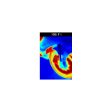 Bild 7 Bild 7
