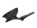 Ducabike Carbon Hinterradabdeckung Triumph Street Triple 765